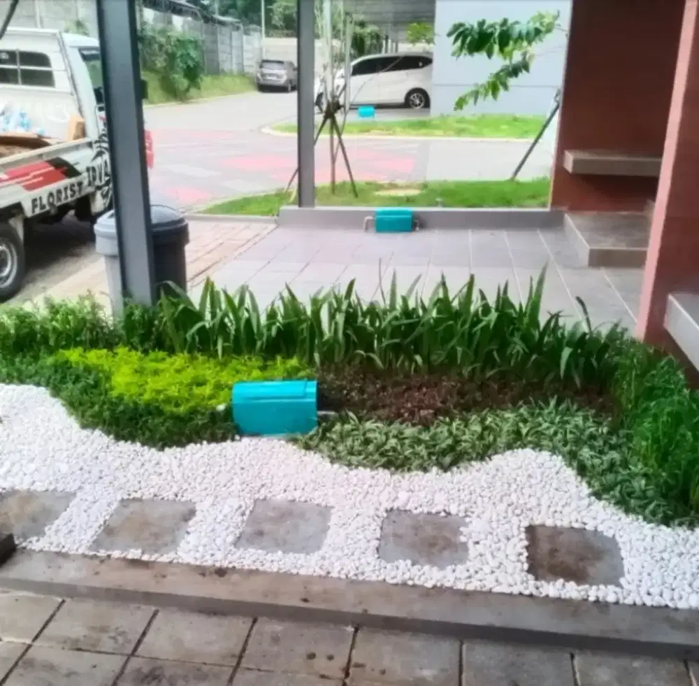 Taman kering depan rumah di bsd