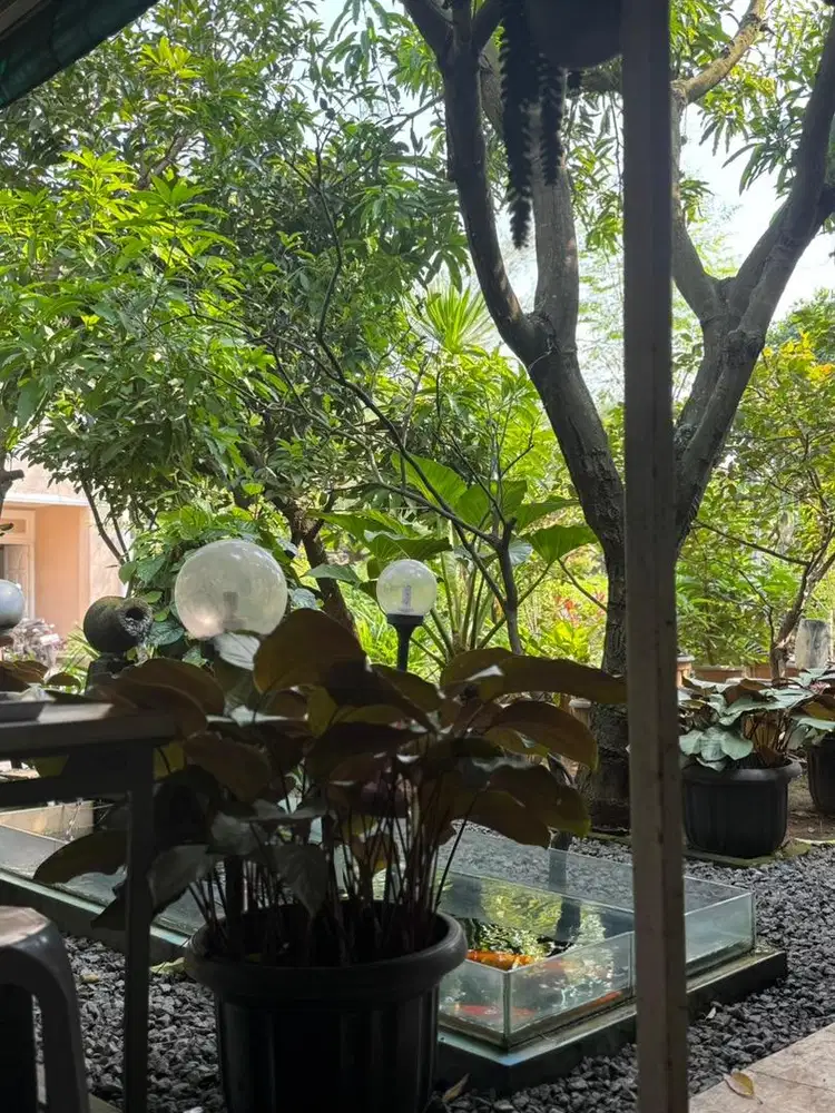 Dibutuhkan Pekerja Dapur Berpengalaman