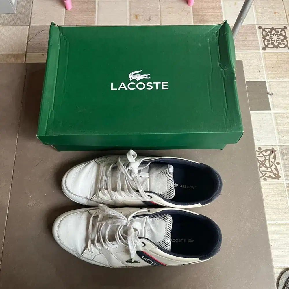 Sepatu Lacoste Chayman (44)