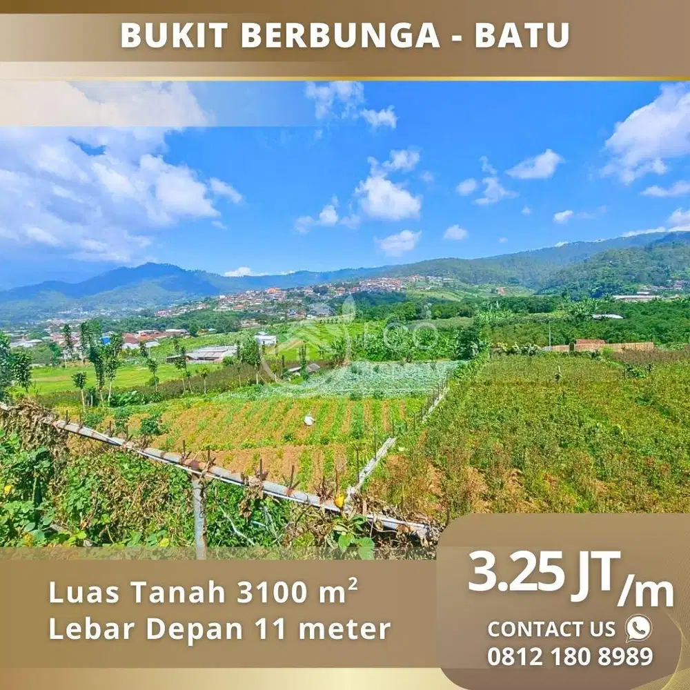 Bukit Berbunga Tepi Jalan Raya Pemandangan Terbaik Kota Batu
