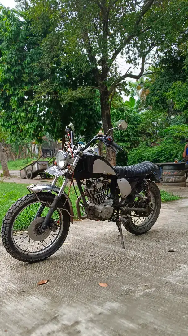 Motor Custom Tiger