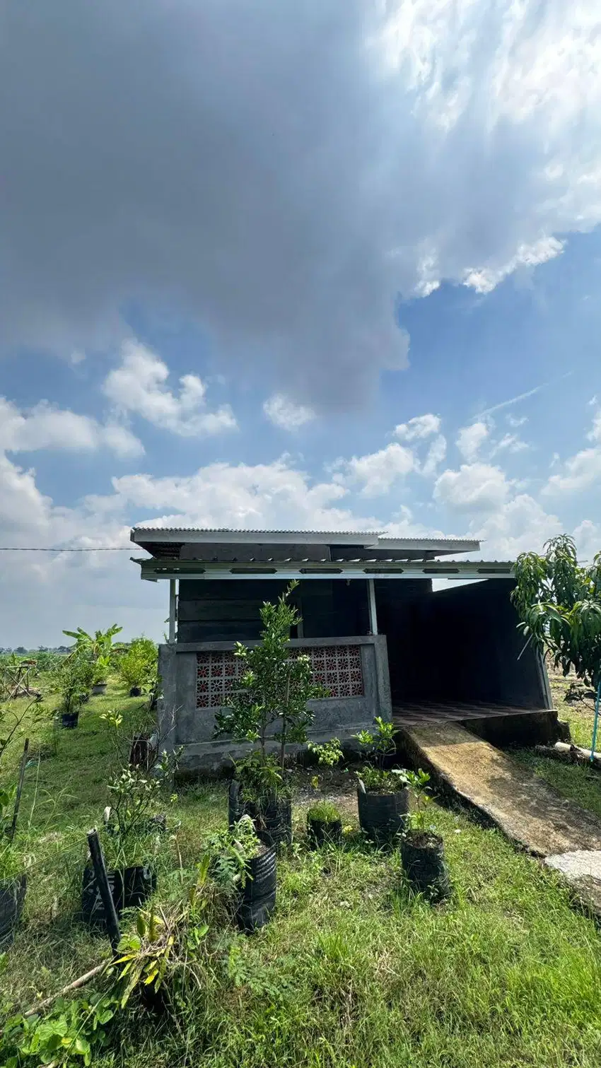 Dijual Rumah dan Kebun Luas di Majalengka Turun Harga !!