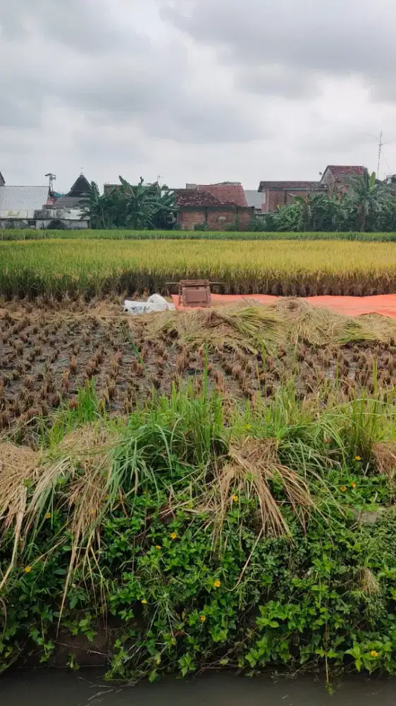 (Turun Harga) Dijual Tanah Premium - Jl Tombro Malang