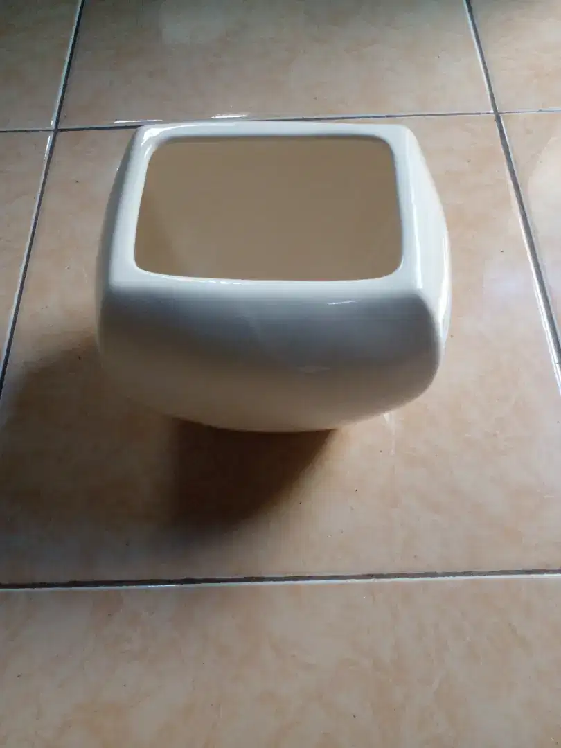 Pot putih utk koleksi