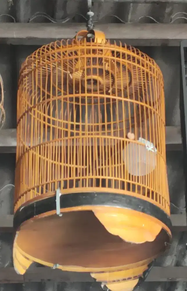 Sangkar Burung Kondisi Mulus