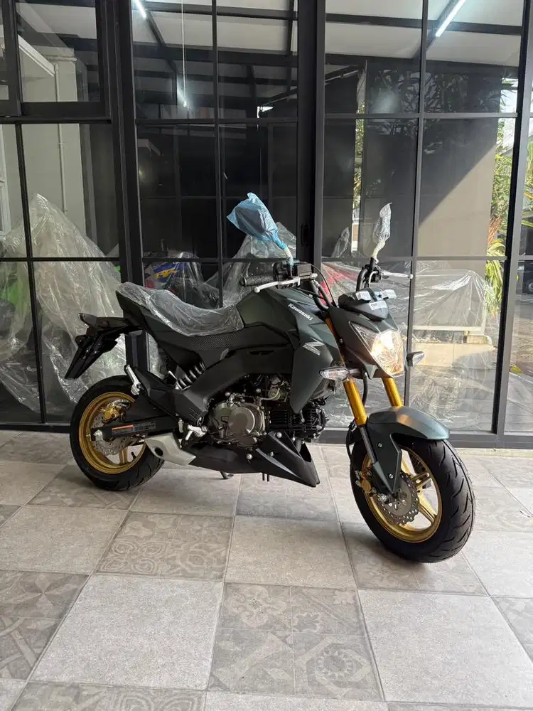 Kawasaki Z125 PRO SE hijau 2025