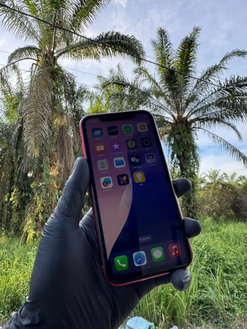 IPHONE 11 256GB, PRODUCT RED - ALL OPERATOR - INTER (LENGKAP)