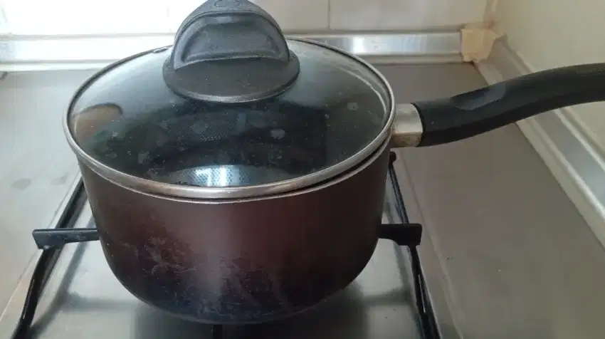 Tefal Authentic Pan Induction 19cm Dengan Tutup