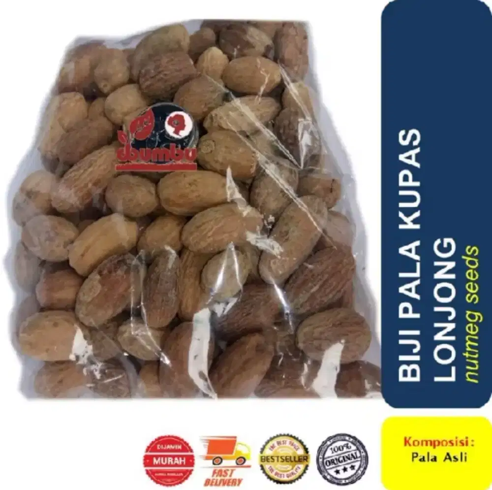 Biji Kupas Pala Lonjong Kering