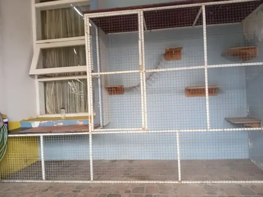 Kandang kucing bongkar pasang  plus plus