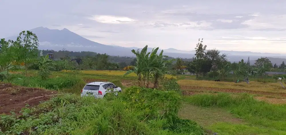 TANAH RUMAH VILLA MURAH - MEGAMENDUNG -BOGOR
