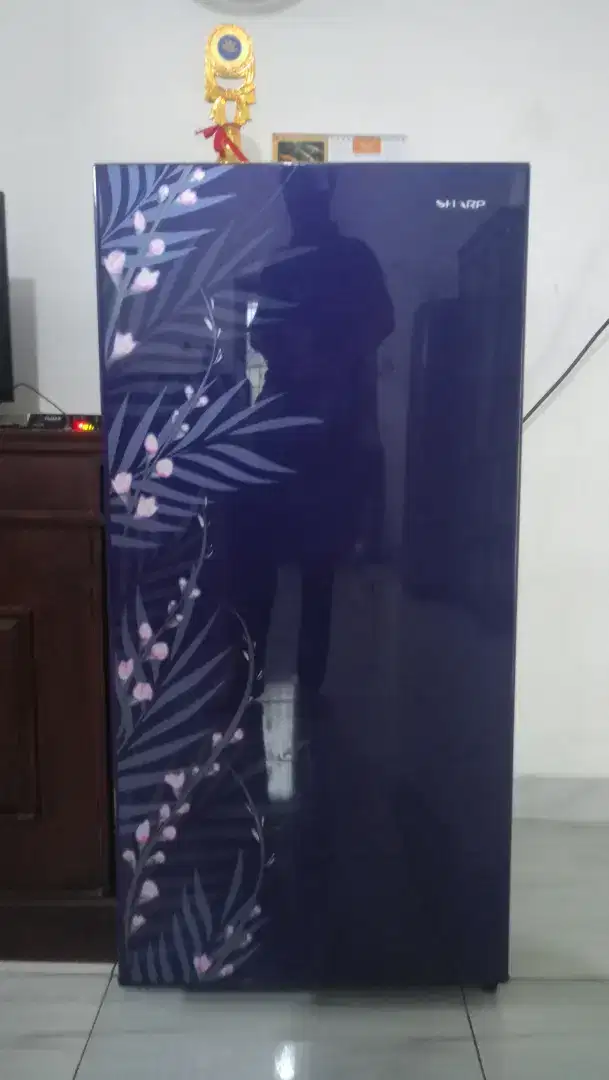 Kulkas Sharp 1 Pintu