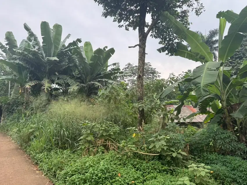 Jual tanah Di GUNUNG SINDUR COCOK UNTUK PABRIK & GUDANG