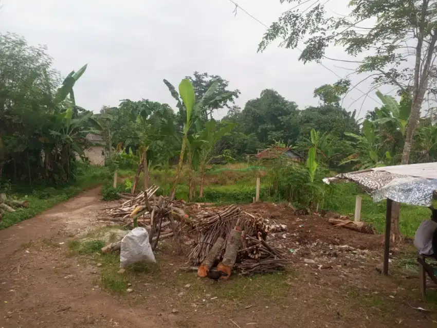 Di jual tanah Luas 150m di ciseeng