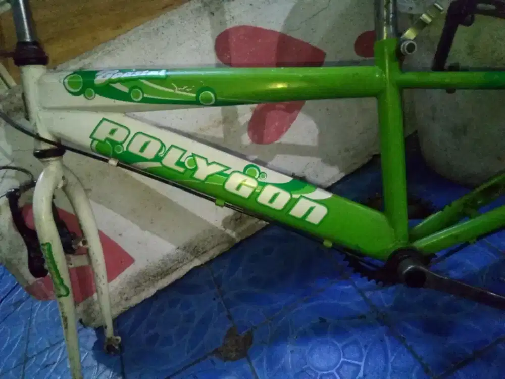 Frame Polygon coastal 220 Alloy