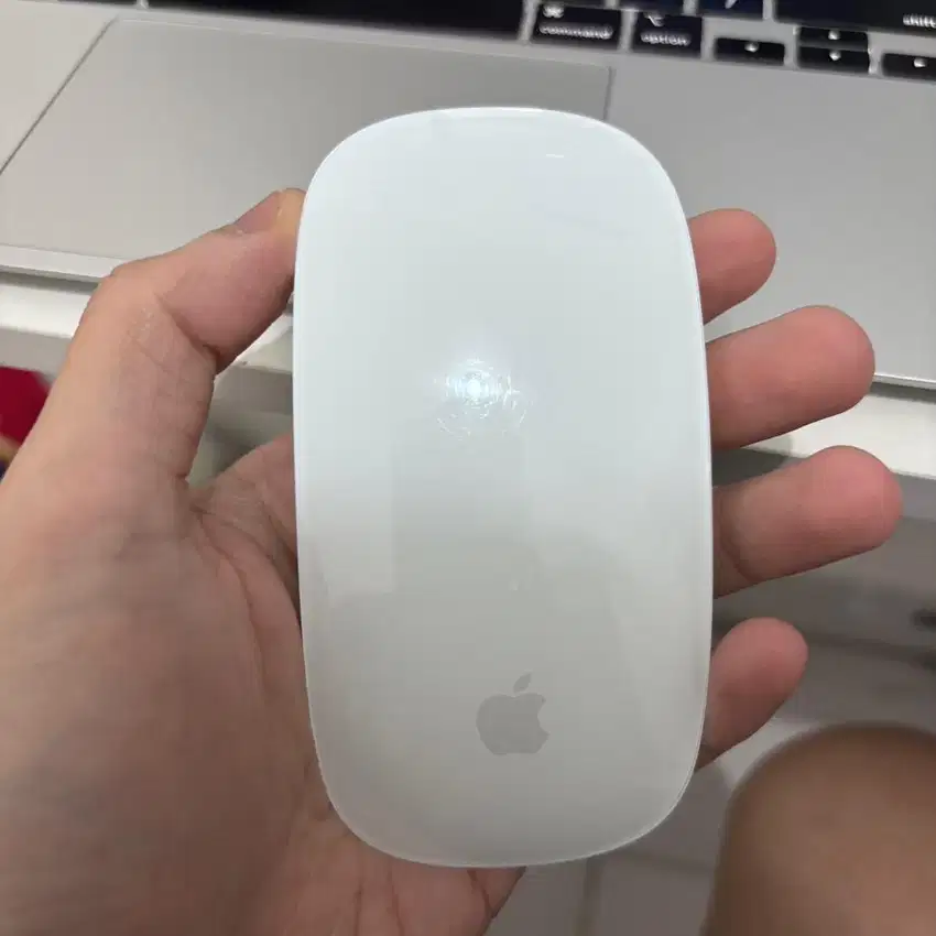 apple magic mouse 2 lightning digimap