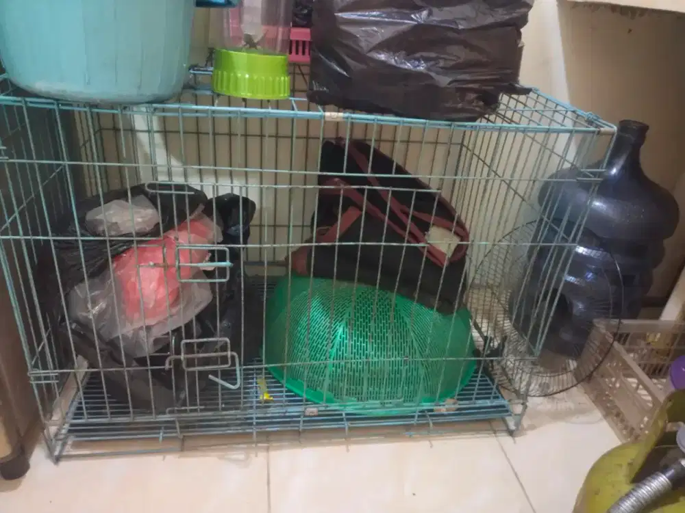 Jual kandang kucing