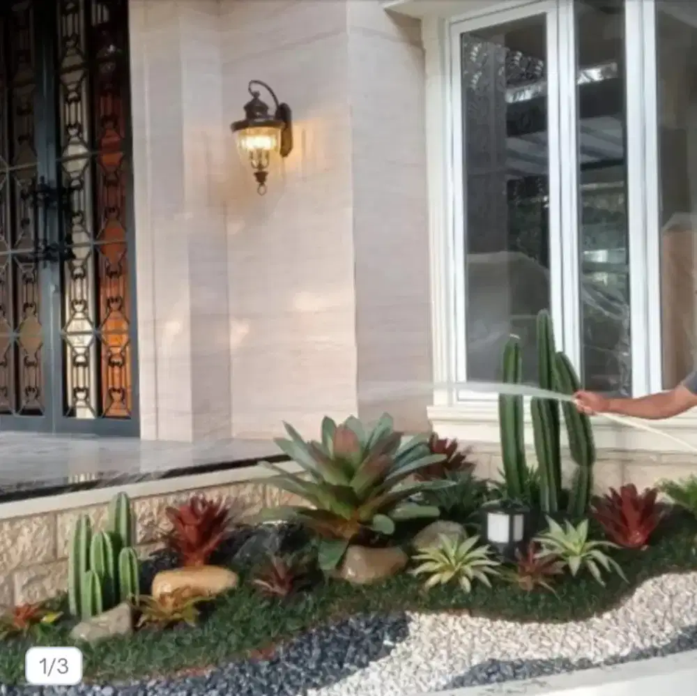 Taman depan rumah di anggrek loka BSD