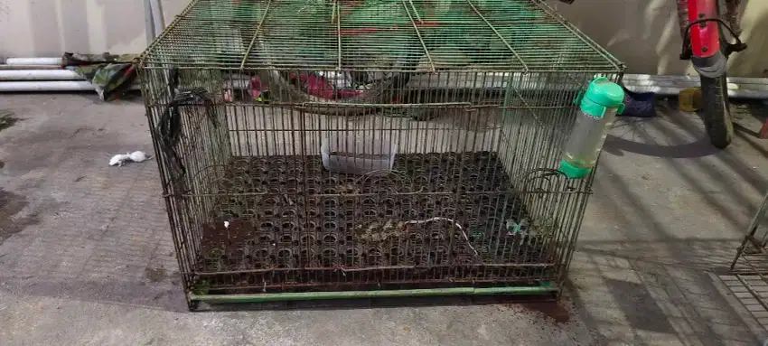 Dijual kandang 2nd condition