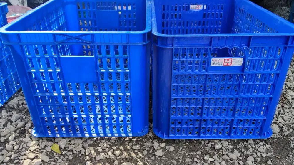 Keranjang rabbit 2008