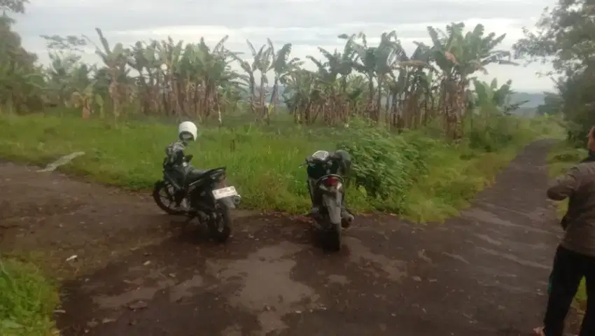 Tanah 1,8Ha dipemalang moga akses truk