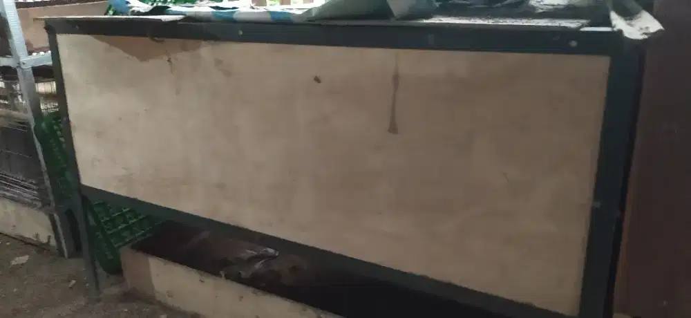 Box doc untuk ayam