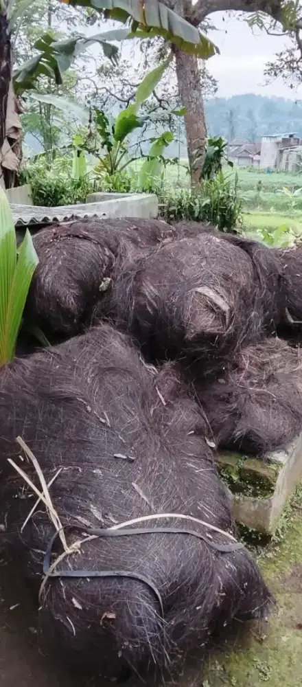 IJUK UNTUK ATAP SAUNG ATAU GAZEBO