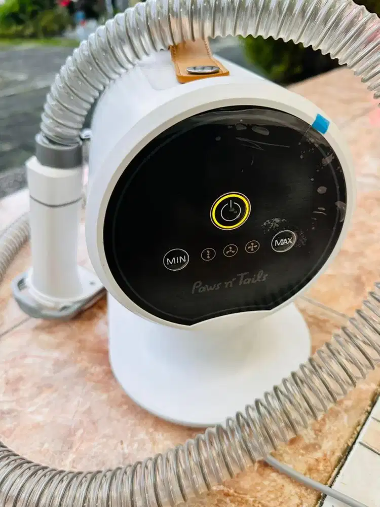 Grooming kucing jogja, grooming kucing murah, grooming dan penitipan