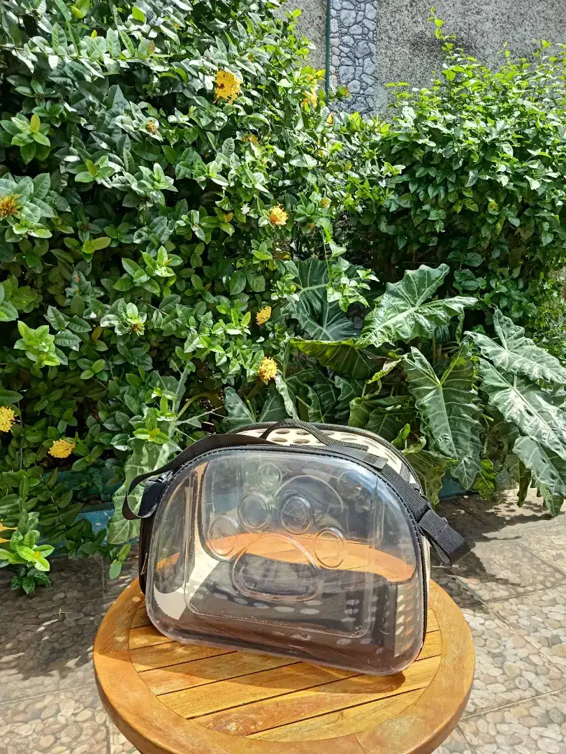 Tas Kucing Transparan