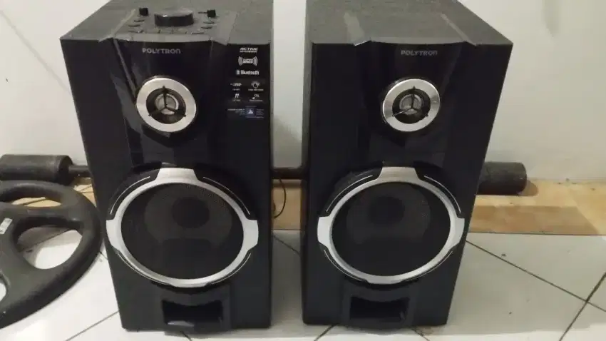 Speaker Polytron Pass 8f12