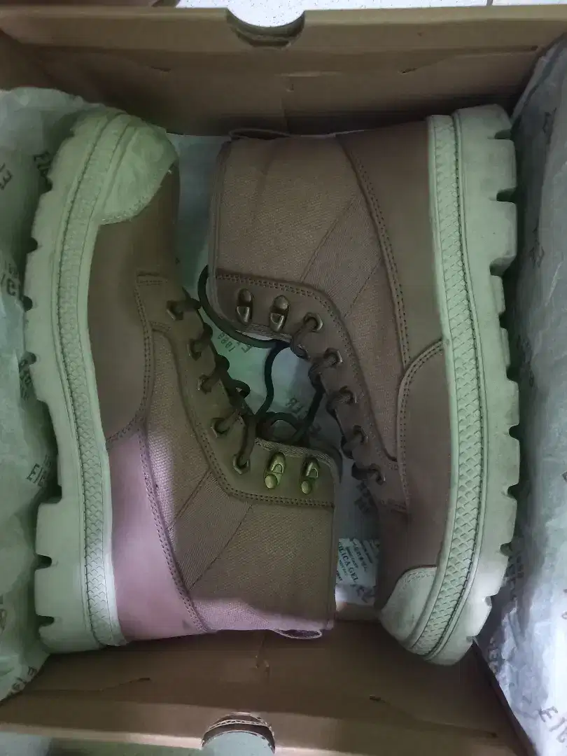 Sepatu Eiger Ras dashen