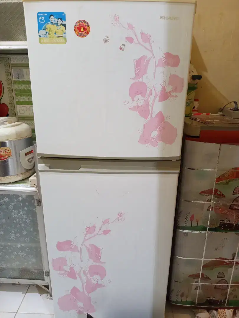 Kulkas Sharp 2 pintu