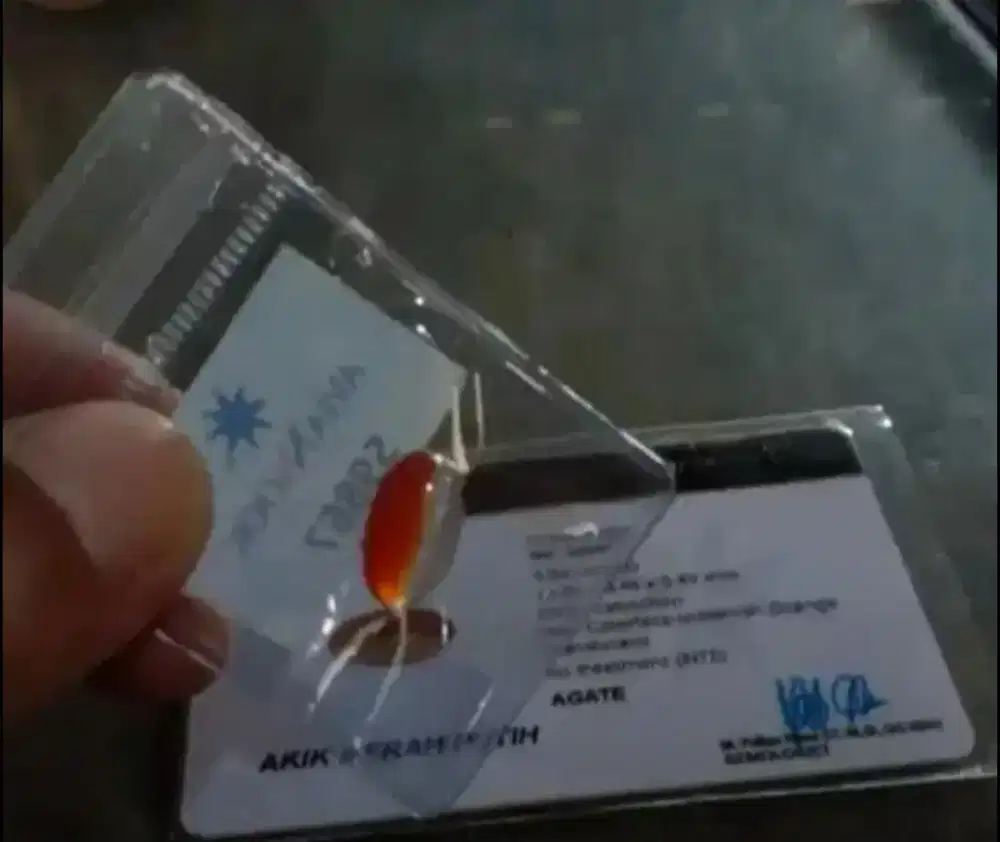 Batu merah putih super memo lab