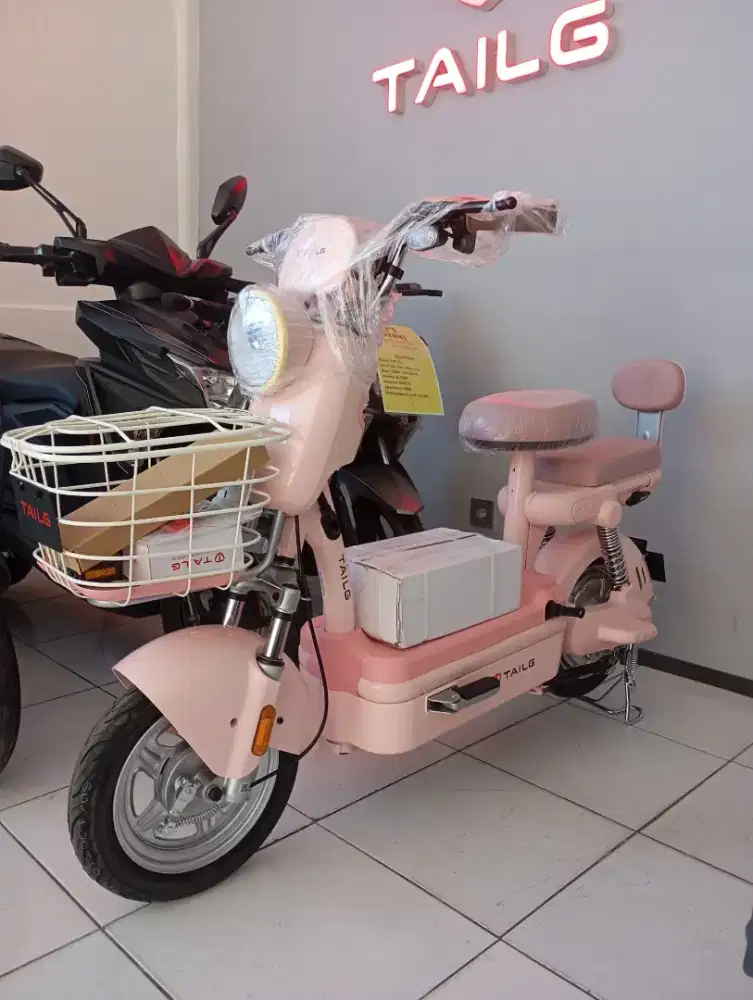 Sepeda listrik merek tailg