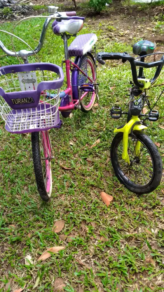 sepeda anak bekas