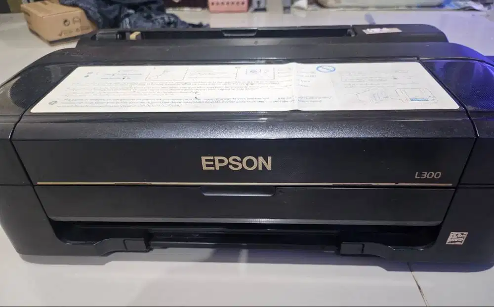 Printer Epson L300