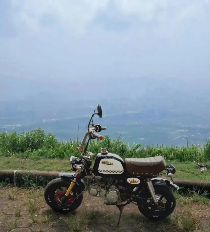 Smash modif monkey gorilla