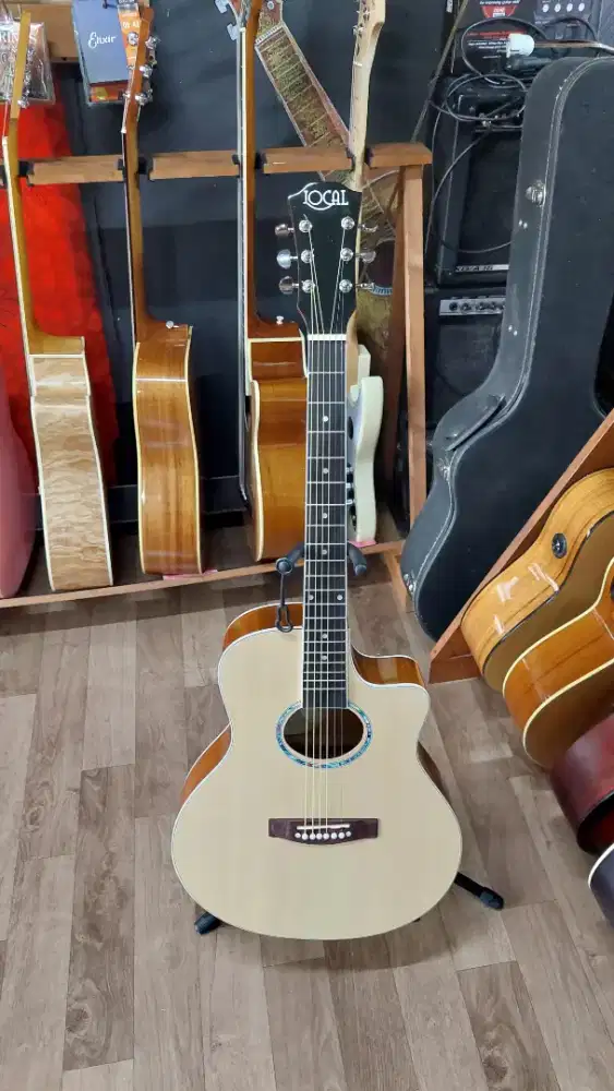 Gitar akustik pemula lokal tanem besi