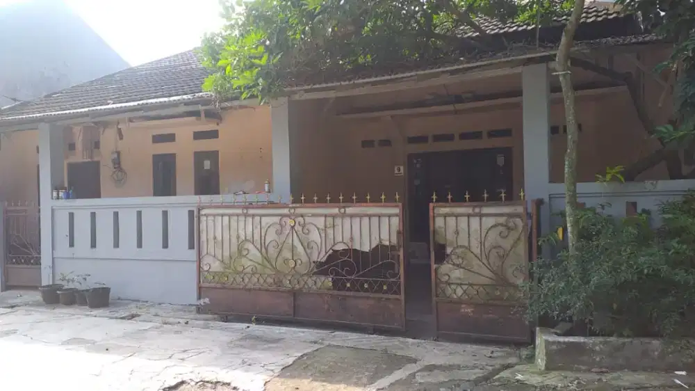 Rumah di sewakan /di jual cepat