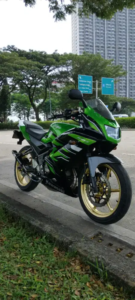 Ninja RR NEW 2015