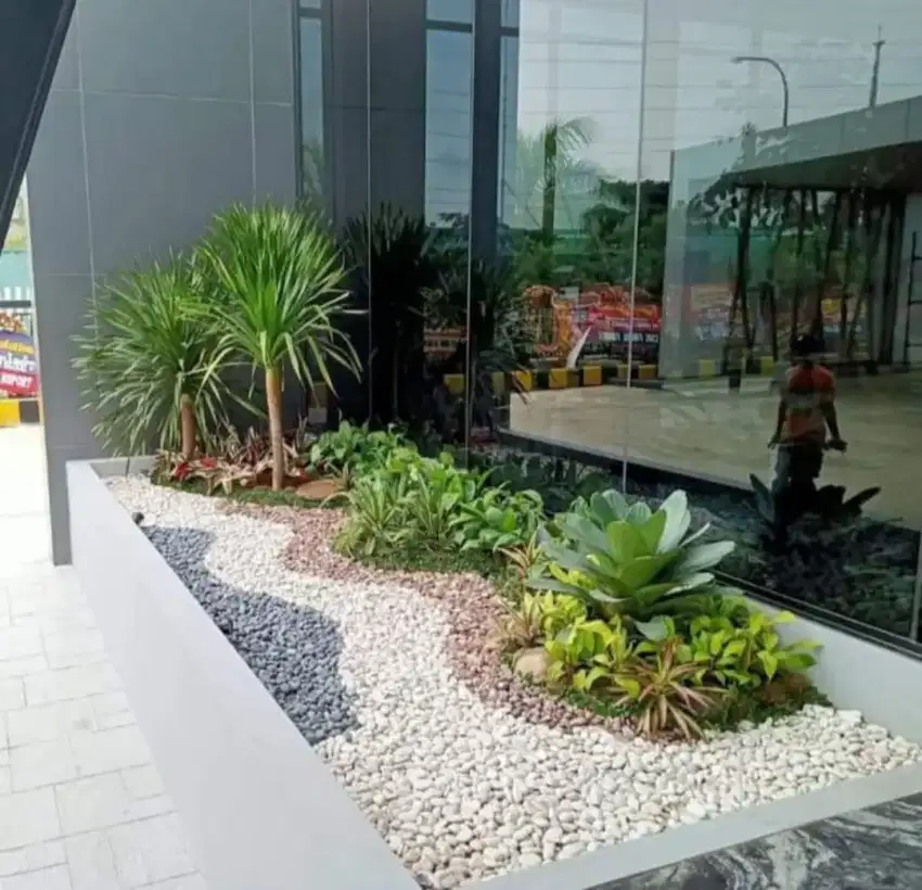 Pembuatan taman kering minimalis