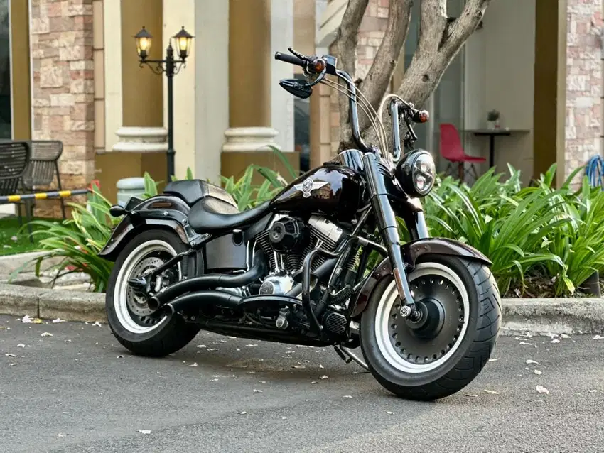 Harley Davidson Fatboy Lo 2014, Full Paper