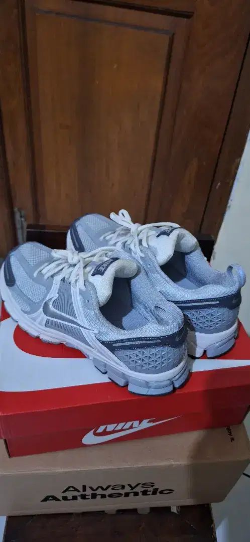 Nike Vomero 5 Pure Platinum Metallic Silver GS (Ori)