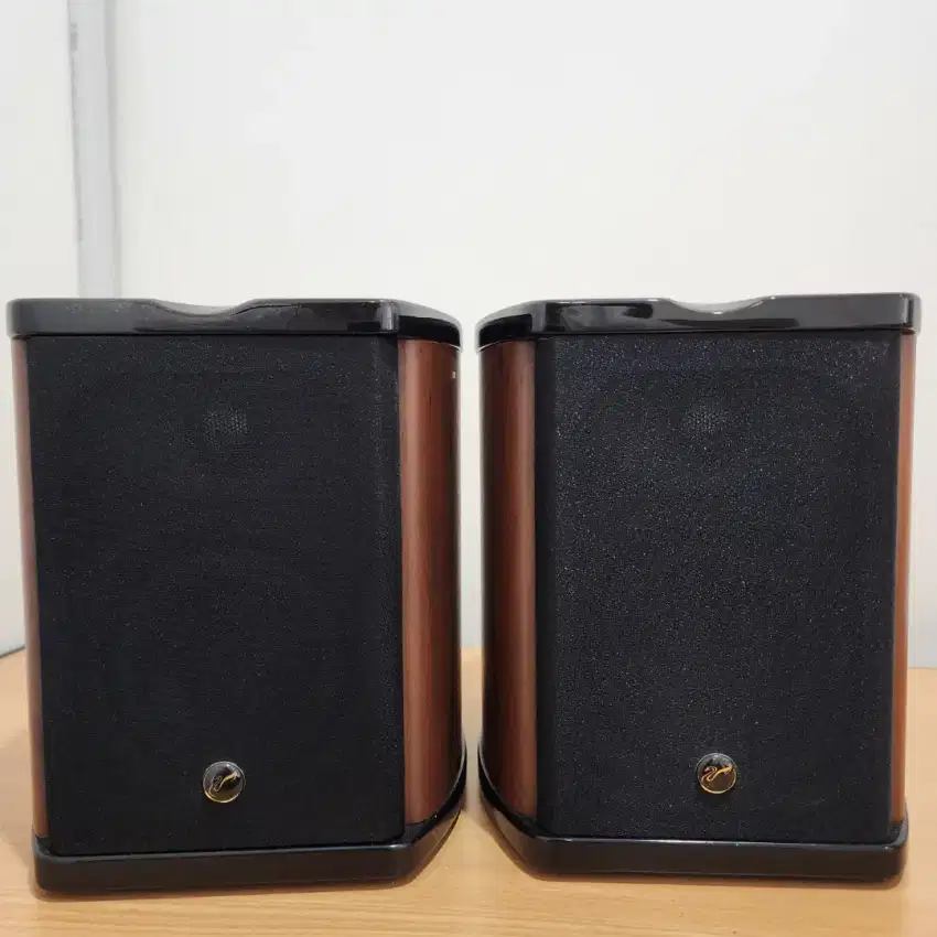 Speaker Swan M100 MKII Professional Crossover Multimedia (Bluetooth)