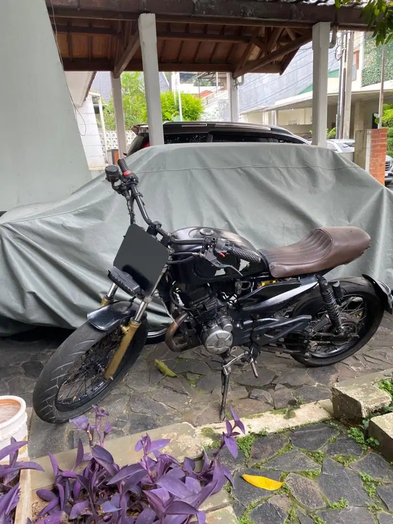 Pulsar 135 Custom