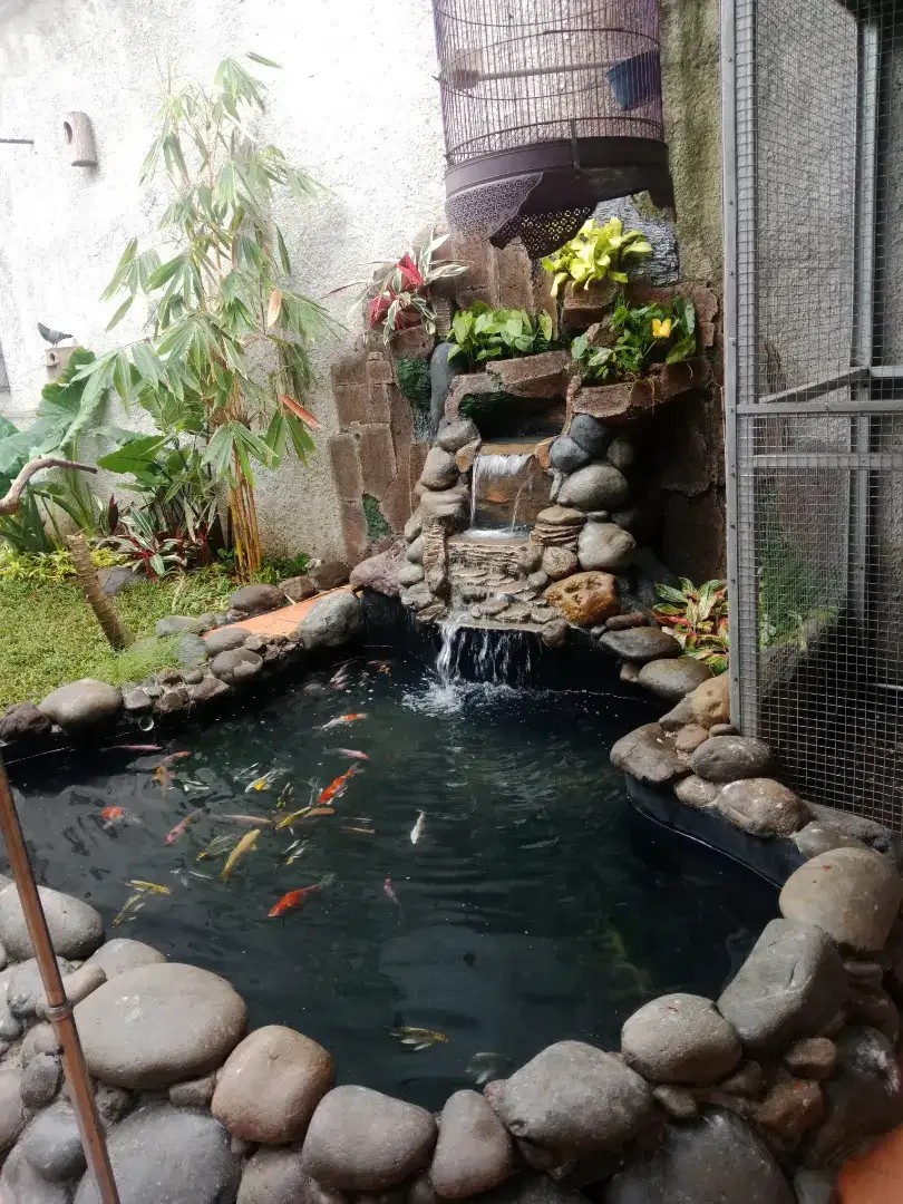 Jual kolam koi relief tebing