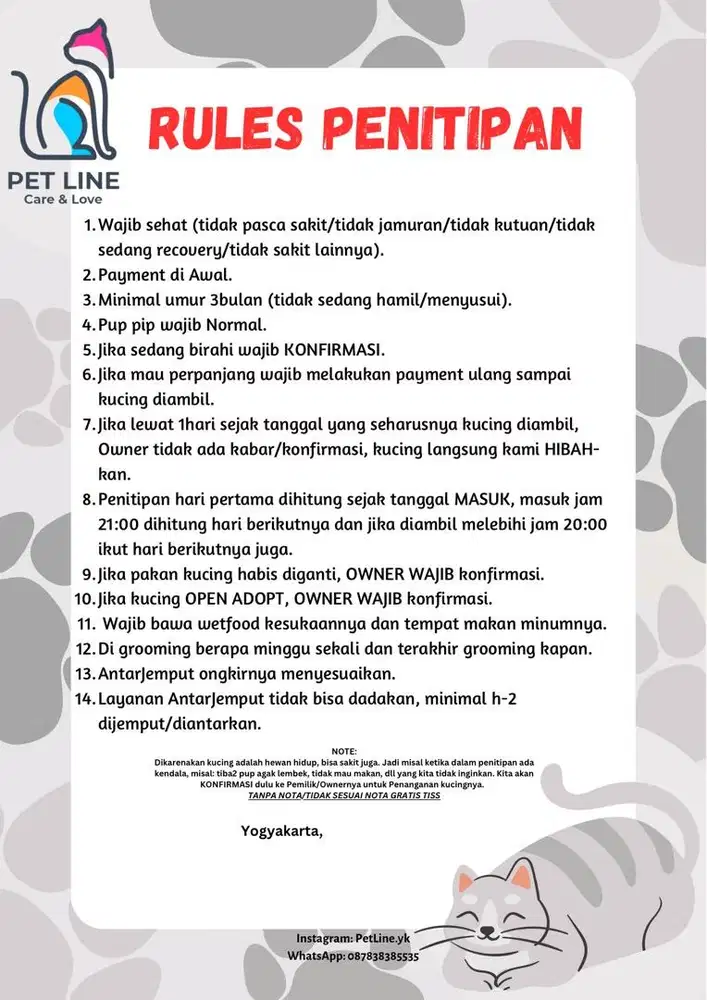 Grooming kucing jogja, grooming kucing jogja, grooming kucing