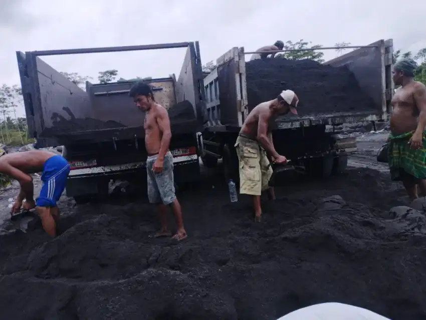 Pasir lumajang asli kualitas juara