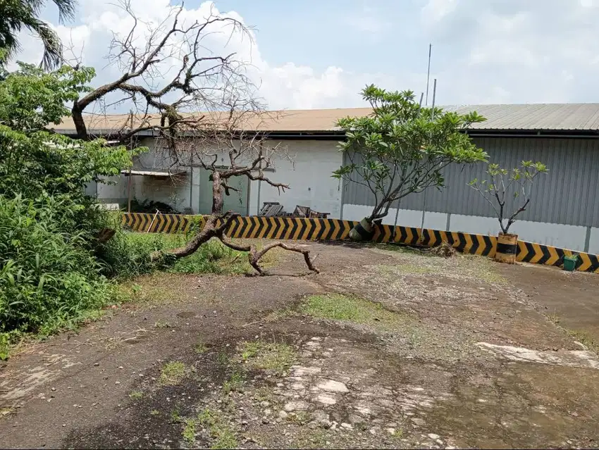 DIJUAL Gudang ex Pabrik LOKASI CILEUNGSI, CIPEUCANG