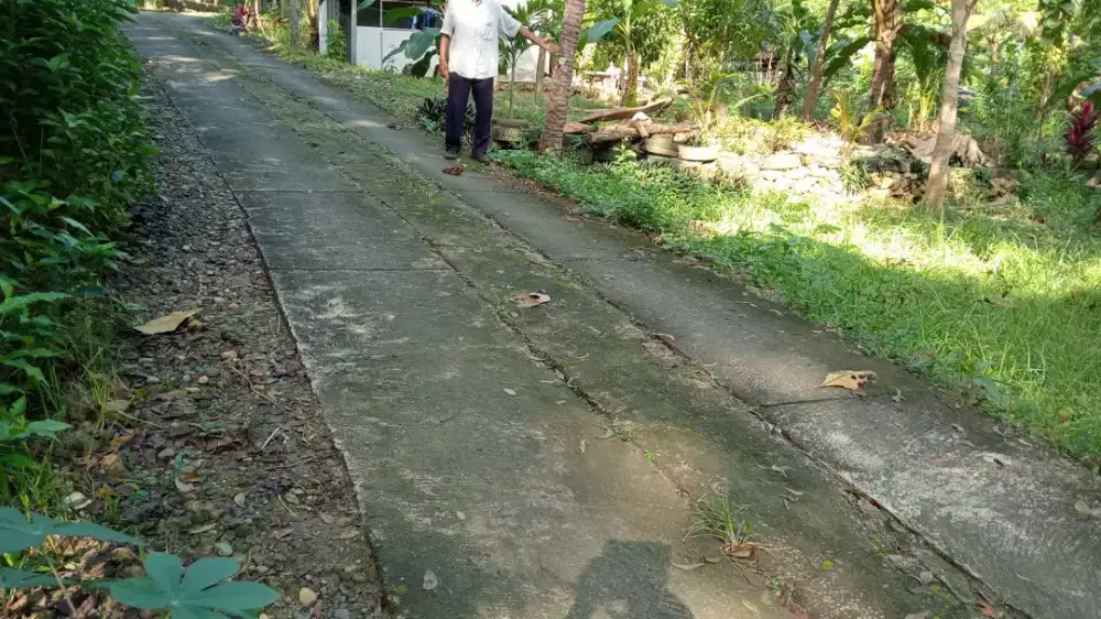 Tanah dekat kampus Atmajaya kulonprogo